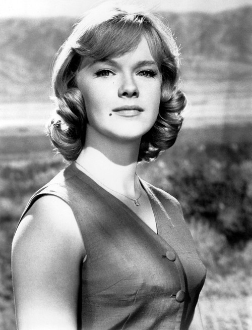 The Satan Bug Anne Francis 1965 Photo Print