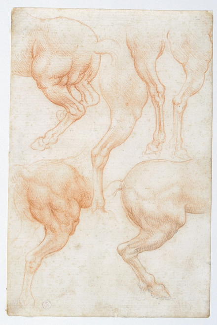 Studies Of The Horse Rear Legs Poster Print - Item # VAREVCMOND029VJ558H