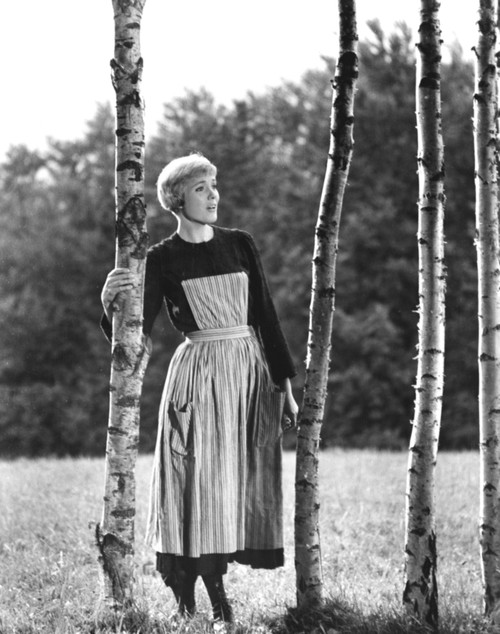 The Sound Of Music Photo Print - Item # VAREVCMBDSOOFFE019