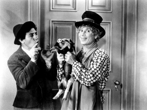 Horse Feathers Photo Print - Item # VAREVCMBDHOFEEC020