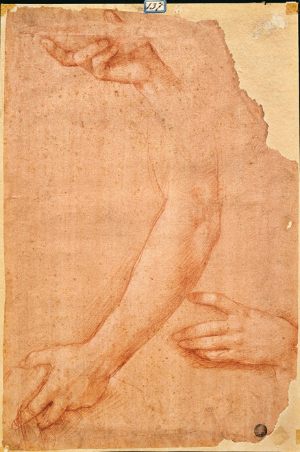 Study Of Hands And Arms Poster Print - Item # VAREVCMOND029VJ030H