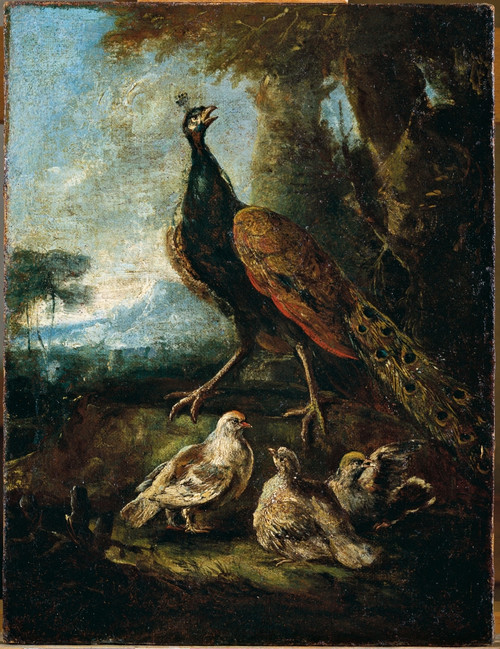 Pickock With Three Chicks Poster Print - Item # VAREVCMOND074VJ536H