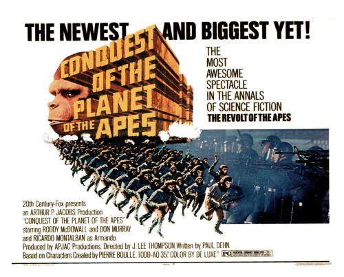 Conquest Of The Planet Of The Apes Poster 1972 20Th Century Fox Tm & Copyright / Courtesy: Everett Collection Movie Poster Masterprint - Item # VAREVCM4DCOOFFE001H