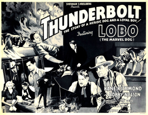 Thunderbolt Top Left And Bottom Far Right: Lobo The Marvel Dog 1935. Movie Poster Masterprint - Item # VAREVCMCDTHUNEC100H