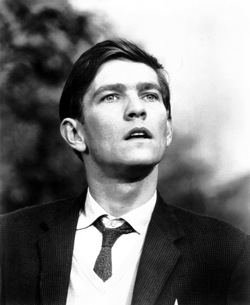 Billy Liar Tom Courtenay 1963 Photo Print - Item # VAREVCMBDBILIEC016H