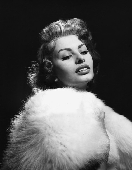 The Pride And The Passion Photo Print - Item # VAREVCMBDPRANEC015