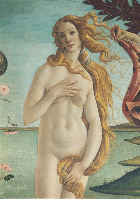The Birth Of Venus Poster Print - Item # VAREVCMOND025VJ346H