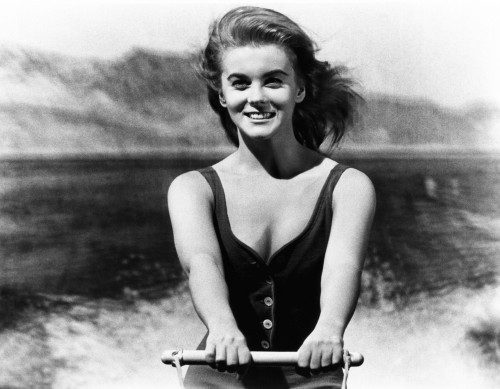 Viva Las Vegas Photo Print - Item # VAREVCMBDVILAEC019