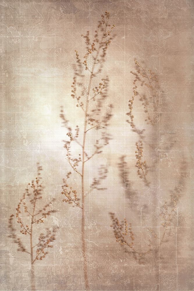 Simple Gold Flowers 1 Poster Print by Milli Villa # MVRC675A - Posterazzi