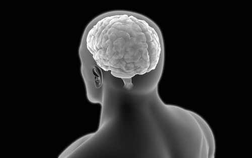 Conceptual image of human brain Poster Print - Item # VARPSTSTK700034H -  Posterazzi