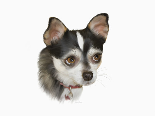 Computer Generated Portrait Of A Dog PosterPrint - Item # VARDPI2355998 ...