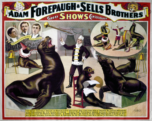 Circus Poster, C1898. /Namerican Poster, C1898, For