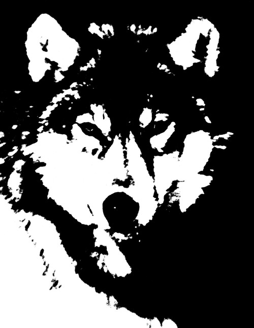 black timber wolf face