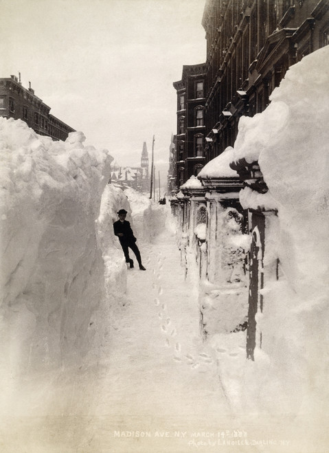 Blizzard Of 1888, Nyc. /Nmadison Avenue In New York City On March 14, 1888  After The Great Blizzard. Poster Print by Granger Collection - Item #  VARGRC0009922 - Posterazzi