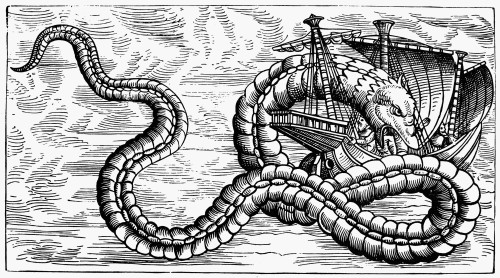 Sea Serpent, 1555. /Na Sea Serpent In The 'Sea Of Darkness' To The