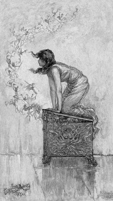Pandora'S Box. /Nall The Evils Of The World Flying Forth Into The