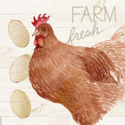 Life on the Farm Chicken II Poster Print by Kathleen Parr McKenna ...