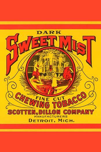 what cancer does smokeless tobacco cause Smokeless tobacco can cause cancers of the mouth, esophagus and pancreas.  This Great American Spit Out, get the facts about smokeless tobacco and  find out how to get help quitting: https://go.usa.gov/xt4v4