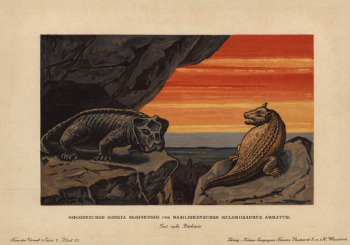 Geikia Elginensis Extinct Synapsid And Sclerosaurusà Poster Print By ...