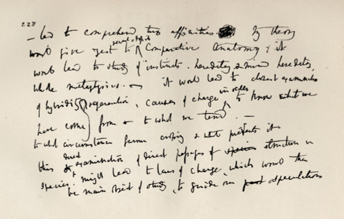 Facsimilie Page Of A Notebook Of Charles Darwin Of 1837 Charles Darwin 1809 1882 British Naturalist From The Book The Life And Letters Of Charles Darwin Volume 2 Published London 1887 From A