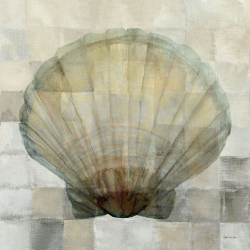 Scallop Shell Poster Scallop Shell Poster Print by Stellar Design Studio Stellar Design ...