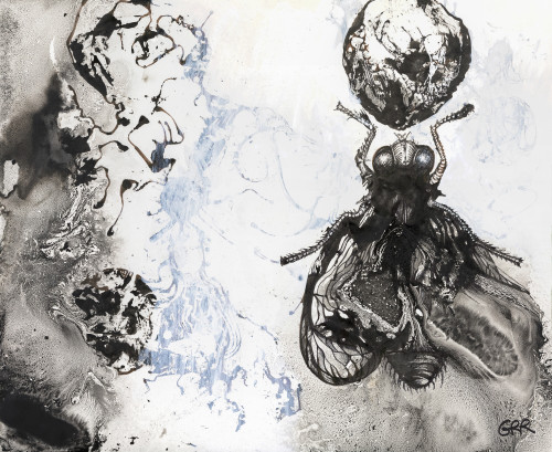 Illustration Of A Fly And Abstract Shapes And Patterns Poster Print by ...