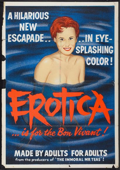 My Erotic Fantasies Movie Poster Print (11 x 17) - Item # MOVCB16611