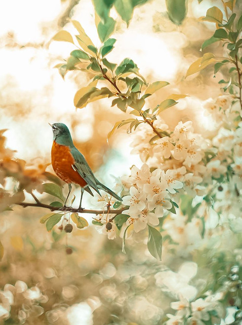 Spring Harmony Spring Harmony Poster Print - Grams Love - Posterazzi