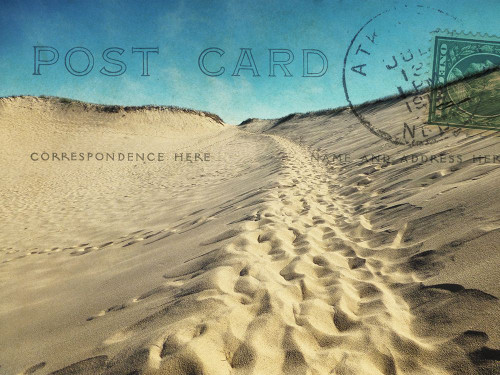 Postmarked in Paradise Skort main image 0
