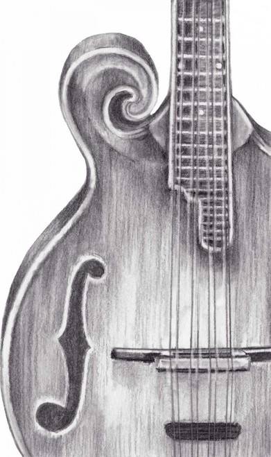 Stringed Instrument Study II Poster Print - Ethan Harper - Posterazzi