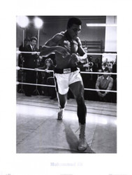 Muhammad Ali - Training Poster Print (22 x 30)