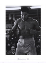 Muhammad Ali - Champ Poster Print (22 x 30)