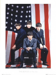 Beatles - USA Poster Print (22 x 30)