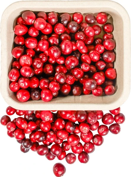 Organic Fresh Cranberries 175g