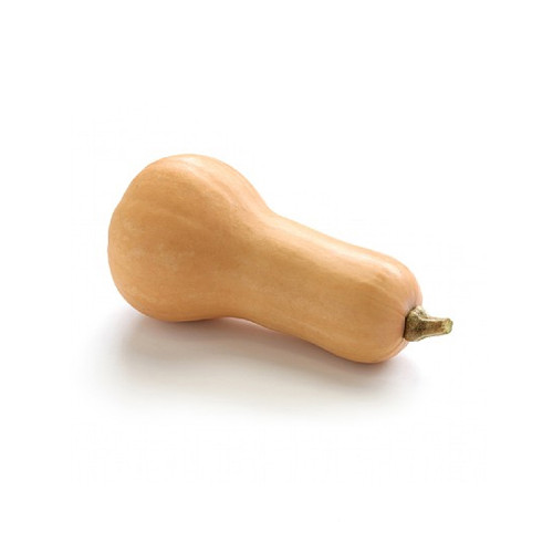 Organic Butternut squash 1pc