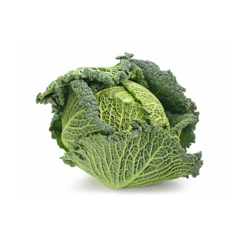 Organic Irish Cabbage Savoy