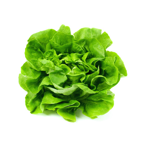 Organic Irish Lettuce 1pc