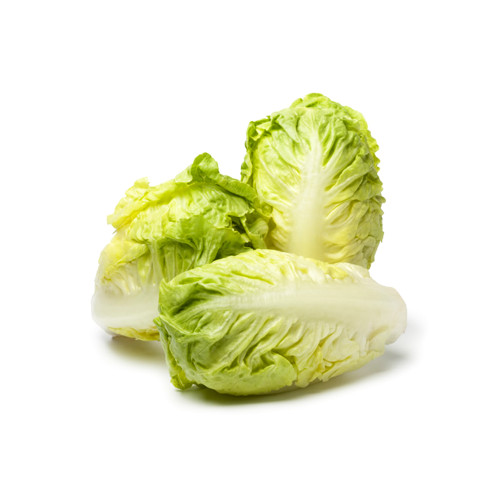 Organic Lettuce Little Gem
