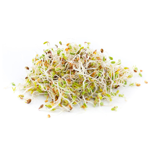 Organic Sprouts