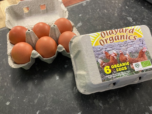 Oldyard Organics 6 Organic Eggs