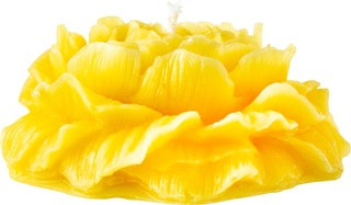 Beeswax-candle with peony De Muisjes