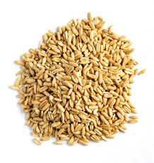 Organic Oat Grain 500g