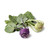 Organic Kohlrabi 1pc
