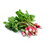 Organic Radish, bunch