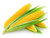 Organic Fresh Sweet Corn 1pc