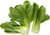 Organic Pakchoy 1pc