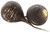 Organic Black Radish 500g