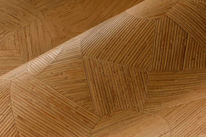 Arte Lanai Mauna 81510