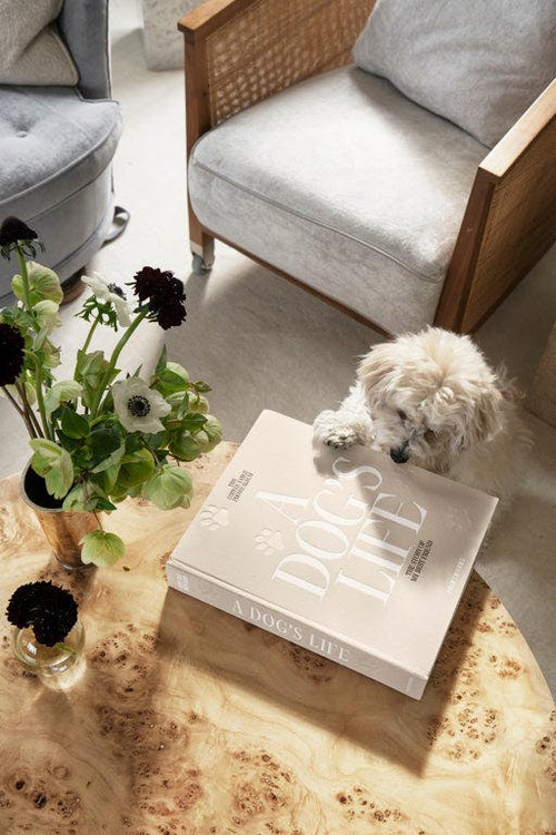 Printworks Fotoalbum - A Dog's Life