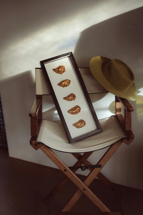 Horizon oesters omgedraaid witte achtergrond